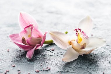 南京丝袜按摩就是我们养生的目标
